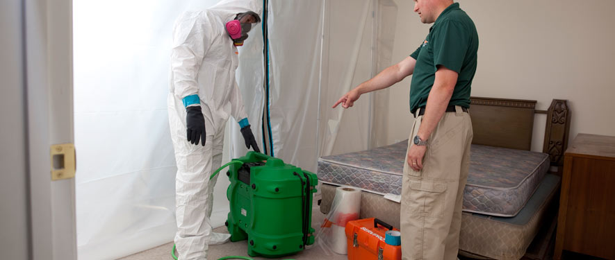 Las Vegas, NV mold removal process